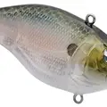 SPOOKY SHAD