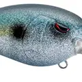 SPARKLE SHAD