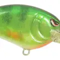 MD REAL PERCH