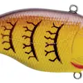 SPRING CRAW
