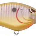 MD SUNNY BREAM
