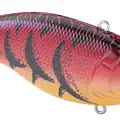 WESTERN CRAW