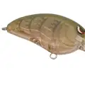 MD WATERMELON RED CRAW