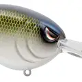 AYU SHAD