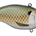 KILLER GILL