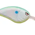 CITURS SHAD