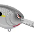 HOMEMADE SHAD