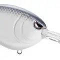 LAVENDER SHAD