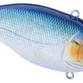 Blue Shiner