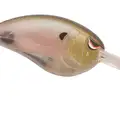 SPOOKY SHAD