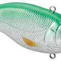 Green Shiner