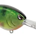 REAL PERCH