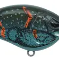 BLUEGRASS CRAW