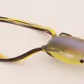 CLEAR CHARTREUSE