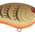 GREEN PUMPKIN