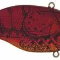 Red Crawfish
