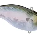 Spooky Shad