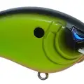 WESTERN CHARTREUSE BLACK BACK
