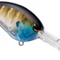 GHOST BLUEGILL