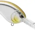 OLIVE SHAD