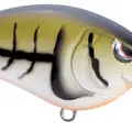 TR 50 GREEN CRAW