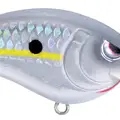 TR 50 HOMEMADE SHAD