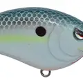 TR 50 NASTY SHAD