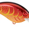 TR 50 RAYBURN RED
