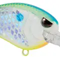 MD TR 50 CITRUS SHAD
