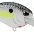 MD TR 50 NASTY SHAD