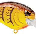 MD TR 50 SPRING CRAW