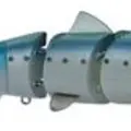 SARDINE