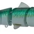 MACKEREL