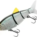 Blue back Herring