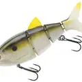 Natural Shad