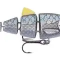 BLUE BACK HERRING