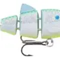 CITRUS SHAD