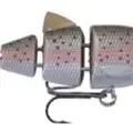 RAINBOW TROUT
