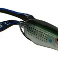 SPECK