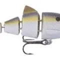 SEXY LAVENDER SHAD