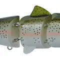 SLOW S KILLER CARP