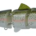 SLOW S RAINBOW TROUT