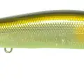 MC AYU