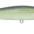 AYU SHAD
