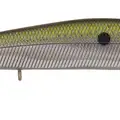 CHROME SHAD