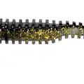 Black Back Gold