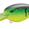 FIRE TIGER