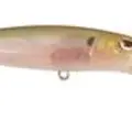 SPOOKY SHAD