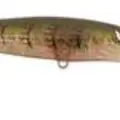 WATERMELON RED CRAW