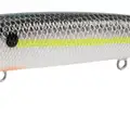 NASTY SHAD